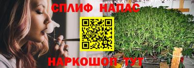 гидропоника Белореченск
