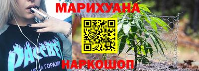 сатива Ачхой-Мартан